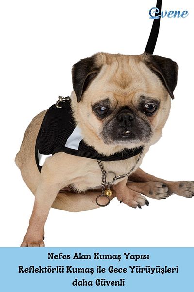 Evene Dog Collar Chest Neck Collar Set with Dispatch Strap Anti-Sweat Breathable Reflective Collar