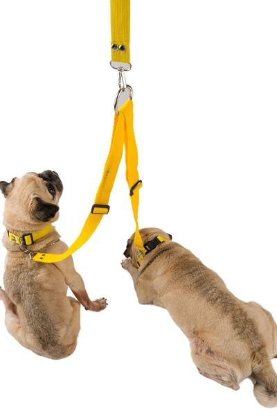 Viselia Köpek Tasması Çoklayıcı Çiftli Gezdirme Kayışı Premium Kalite Kopma Y...