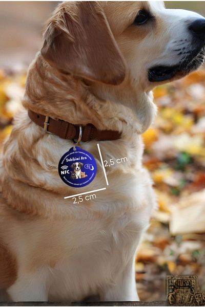 UygunKart Cat - Digital Information Card, Dog Smart Collar, Finding Lost Cat, with Nfc and Qr Code