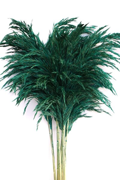 İndirimliPazar Şoklanmış 7li Pampas Otu Karışık Renk 100 Cm Renk Seçenekli