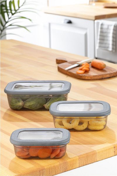 Vienev 3-Piece Poly Rectangular Shallow Storage Container Set Anthracite 1x(400, 670, 1200 ml)