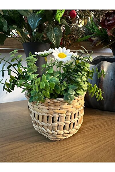 Süs Dükkanı Hasır saksı dekoratif sepet çok amaçlı model çap 13 cm