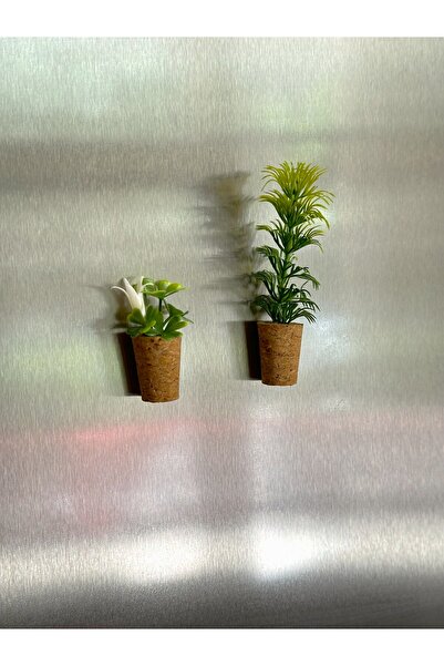 Mushroom Magnet 2pcs