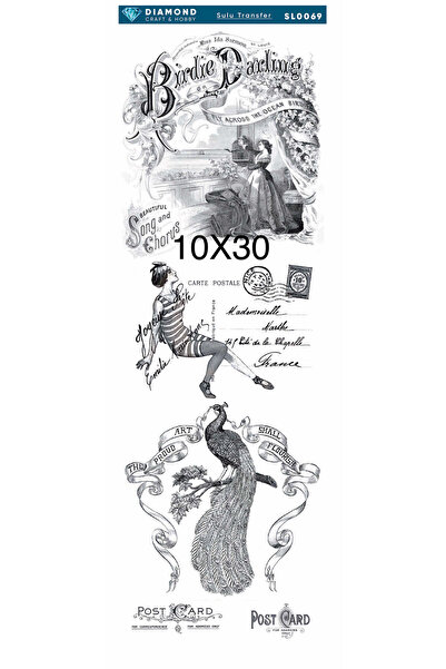 Buhobi Diamond Water Transfer Paper Sl0069 10X30Cm - Vintage Bird