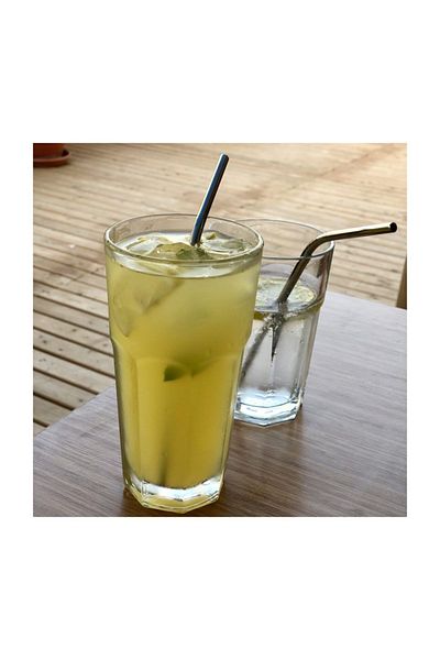 Egeflora Steel Straw