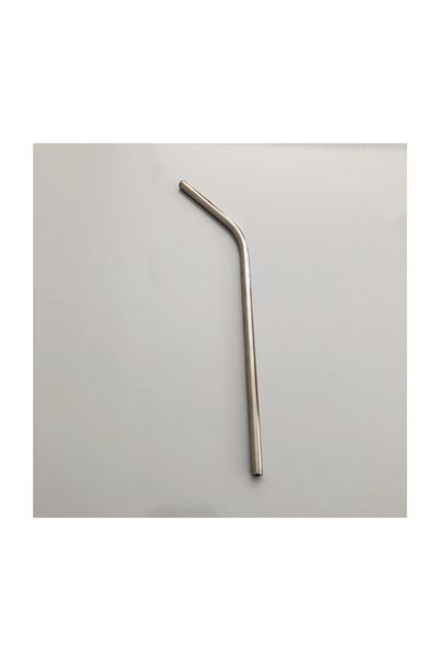 Egeflora Steel Straw