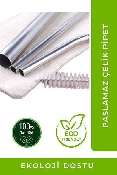 Egeflora Steel Straw