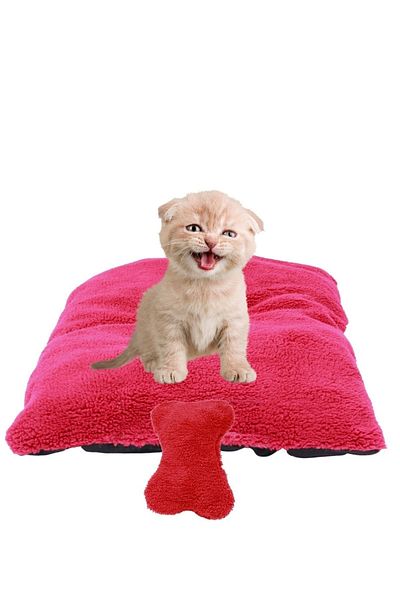 Evene Cat Bed Dog Bed Cat And Dog Bed Cat Cushion Dog Cushion Model 1 Red