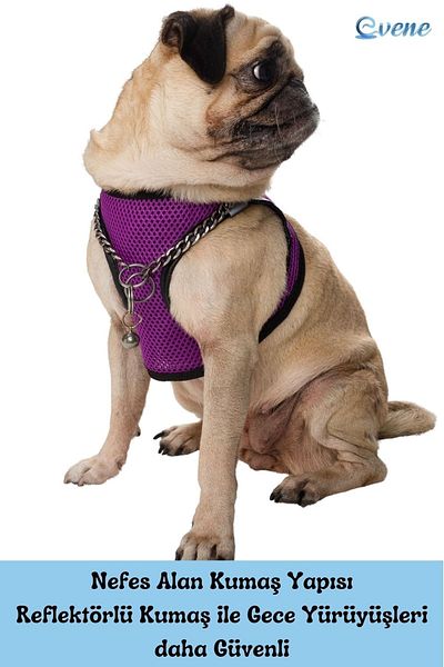 Evene Dog Collar Chest Neck Collar Set with Dispatch Strap Anti-Sweat Breathable Reflective Collar