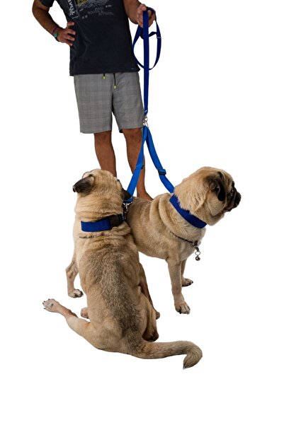 Viselia Köpek Tasması Çoklayıcı Çiftli Gezdirme Kayışı Premium Kalite Kopma Y...