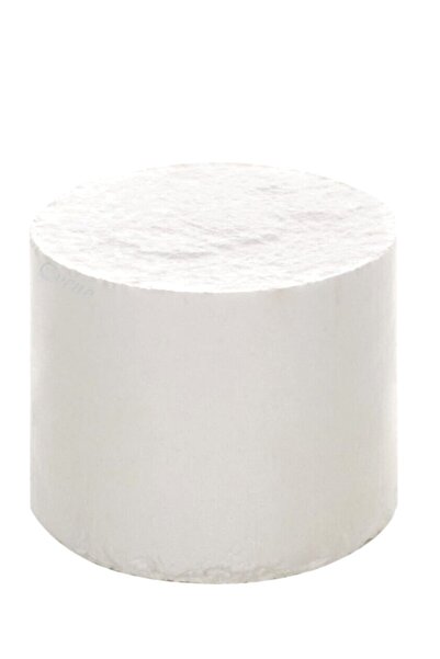 Evene Nem Alıcı Rutubet Giderici Yedek Tablet 450gr