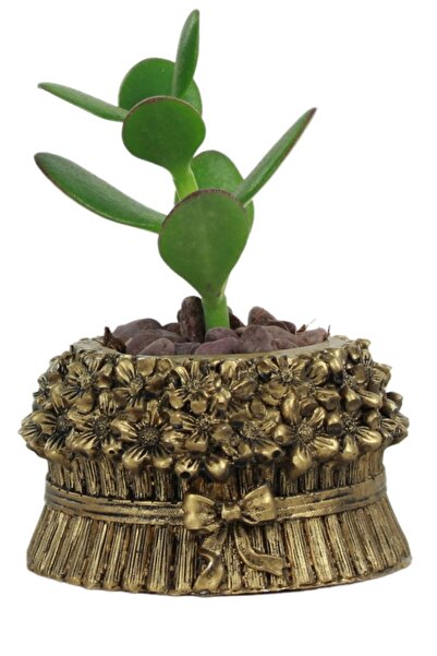 Evene Mini Çiçek Saksı Küçük Sukulent Altın Eskitme Kaktüs Saksısı Model 3