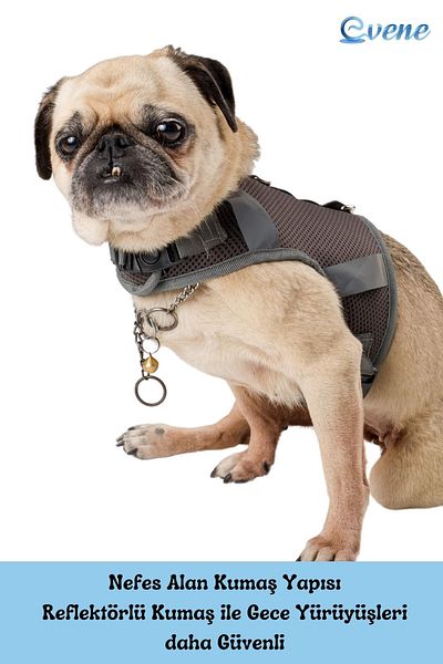 Evene Dog Collar Chest Neck Collar Set with Dispatch Strap Anti-Sweat Breathable Reflective Collar