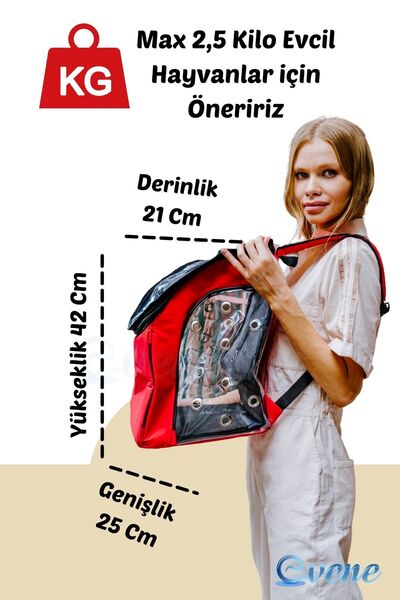 Evene Kırmızı Kedi Taşıma Çantası Şeffaf Orta Boy Uçak Için Uygun Hava Alan Kapsüllü Su Geçirmez Sırt Çant