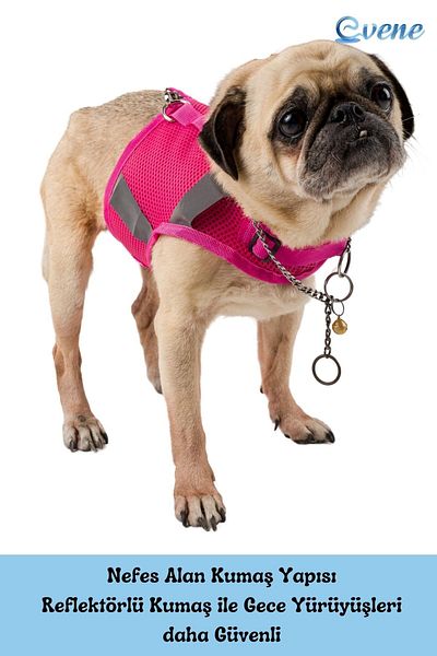Evene Dog Collar Chest Neck Collar Set with Dispatch Strap Anti-Sweat Breathable Reflective Collar