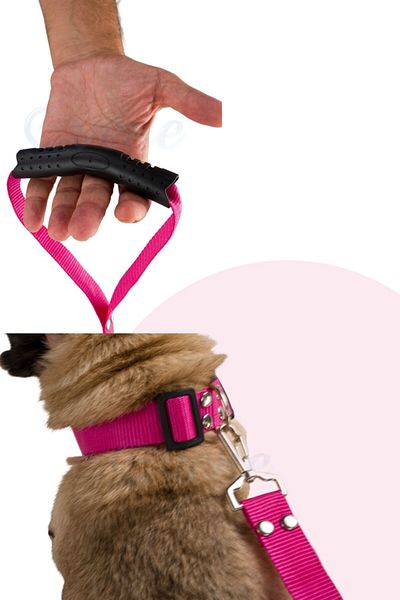 Evene Dog Collar Dog Neck Adjustable Pet Collar Pink