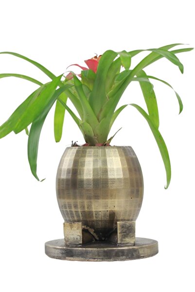 Evene Saksı Çiçek Kaktüs Saksısı Lüx 17 Cm Altın Eskitme Varak Boyalı Yuvarlak Ayaklı Saksı Çiçeklik