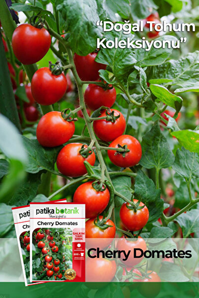 Patika Botanik 100 Adet Cherry Tipi Pinpon Domates Tohumu
