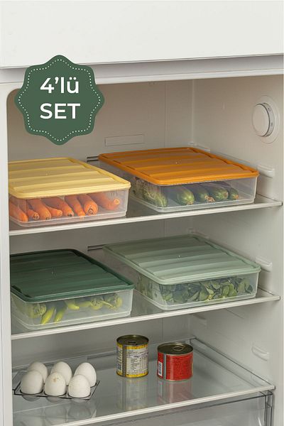 Vienev 4-Piece 3.5 Liter Colorful Bella Refrigerator Organizer Storage Container