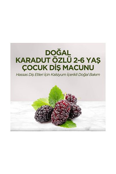 Eyüp Sabri Tuncer Eyüp Sabri̇ Tuncer Children's Tooth Paste with Blackberry Extract 3X60 Ml. (3 Pcs)