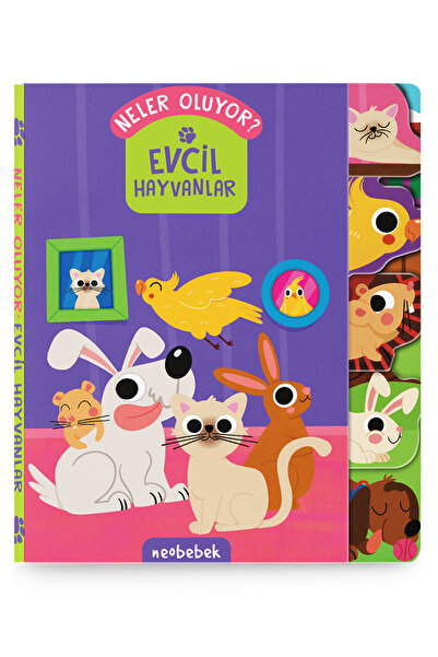 Neobebek Neler Oluyor? Evcil Hayvanlar