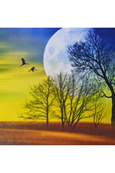 MENTAŞ Boncuklu Goblen 5d Taşlı Mozaik Elmas Goblen Diamond Picture Kıt 30x30 Tamamı Yuvarlak Boncuklu