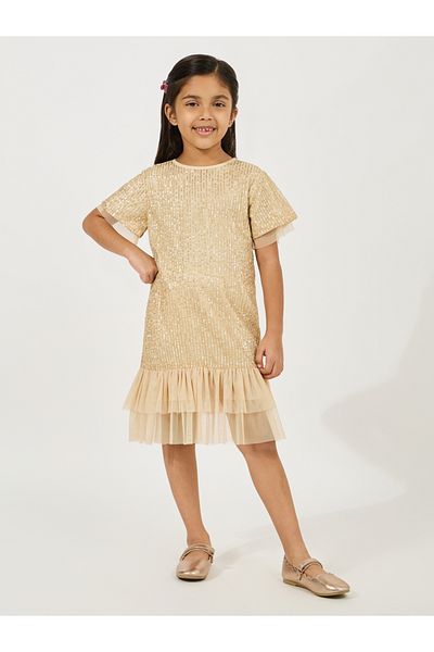 Styli Sequined A-Line Dress with Mesh Insert