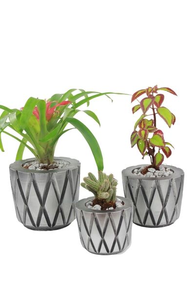 Evene Saksı Çiçek Kaktüs Saksısı Lüx 15 Cm Gümüş Eskitme Varak Boyalı Model 7...