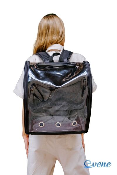 Evene Siyah Kedi Taşıma Çantası Şeffaf Büyük Boy Uçak Için Uygun Hava Alan Su...