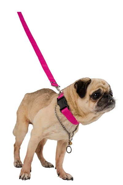 Evene Dog Collar Dog Neck Adjustable Pet Collar Pink