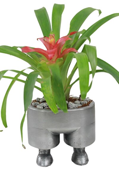 Flower Pot Cactus Flower Pot Luxury 13cm Silver Antique Foil Painted Model 11 Flower Pot