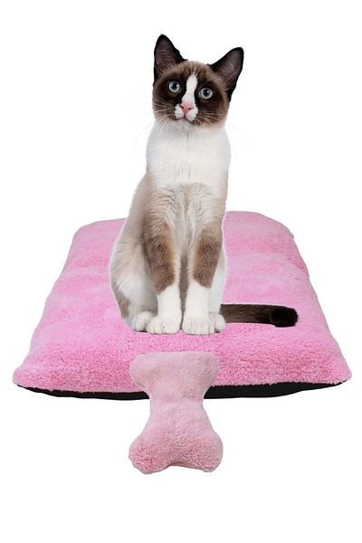 Evene Cat Bed Pet Cat Cushion 60x40 Cm Pet Cushion