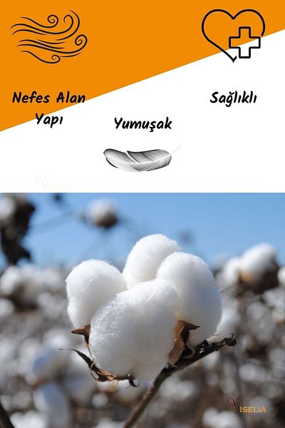 Viselia Μαξιλάρι Bead Fiber Αντιβακτηριδιακό Μαξιλάρι ύπνου Βαμβακερό ραμμένο 800 Gr + Βαμβακερή θήκη με φερμουάρ