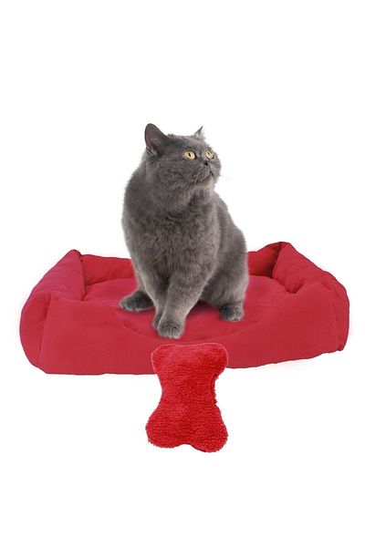Evene Cat Bed Pet Cat Cushion Pet Rectangular 65x45 Cm Soft Cushion