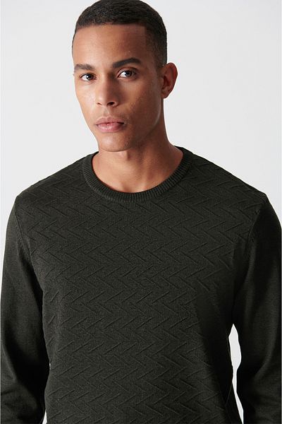 Avva Men's Khaki Crew Neck Jacquard Sweater A12Y5203