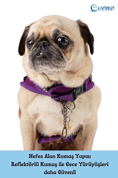Evene Dog Collar Chest Neck Collar Set with Dispatch Strap Anti-Sweat Breathable Reflective Collar