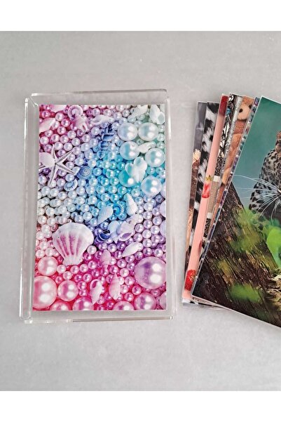 Byken قنفذ البحر - حامل عرض منقوش