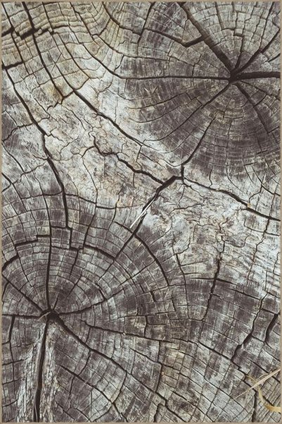 Rugs Modern Halı Χαλί με υφαντό με μοτίβο με θέμα κορμούς δέντρων και πλενόμε...
