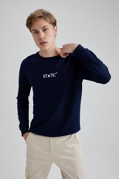 DeFacto Crew Neck Printed Regular Fit Sweatshirt - A7461ax23au