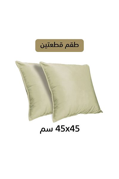 In House 2 Pieces Velvet Decorative Cushion Set Solid Design - 45x45 Cm