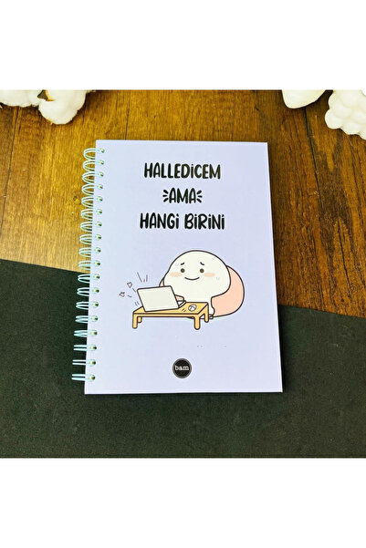 Bam Halledicem Ama Hangi Birini Tasarımlı Konuşan Ajanda 17x24 Stickerli