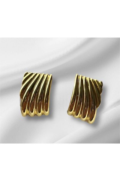 ARZULUSEYLER 316 L Anti-Tarnish Steel Earrings