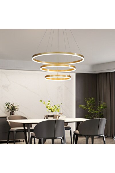 CATLUZ Gold Çember Ø40,60,80cm Led Lamba,yuvarlak Sarkıt Avize,modern Aydınlatma,dekoratif 3000k