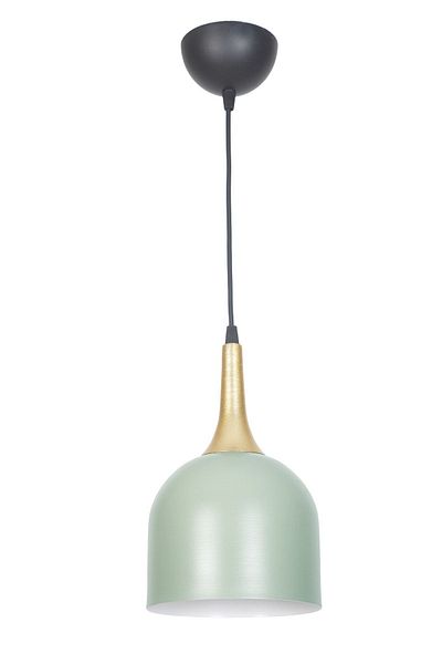 Fer Avize Reına Modern Design Metal Headboard Water Green Color Pendant Lamp Cafe - Kitchen Single Chandelier