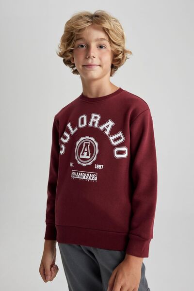 DeFacto Hanorac cu imprimeu pentru băiat - Guler rotund B0047a823wn