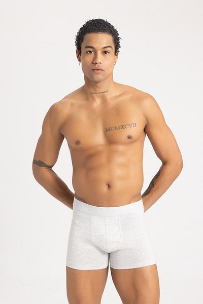 DeFacto Regular Fit - 3 Piece Boxer Set B8208ax24sp