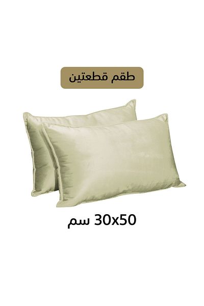 In House 2 Pieces Velvet Decorative Cushion Set Solid Design - 50x30 Cm