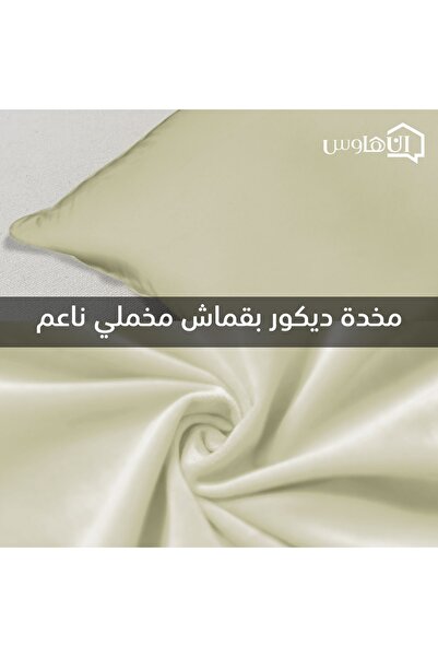 In House 2 Pieces Velvet Decorative Cushion Set Solid Design - 45x45 Cm