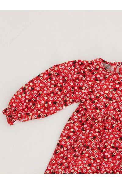 Little Star Girl's Floral Patterned Sleeve Seasonal Dress