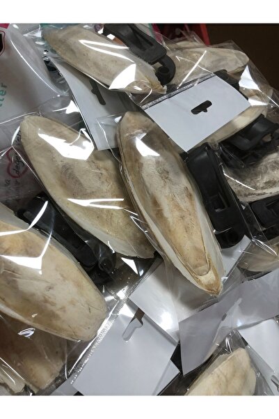 mnö mammamia mix 2 Adet Büyük Boy Kalamar Kemiği Aparat Hediyeli